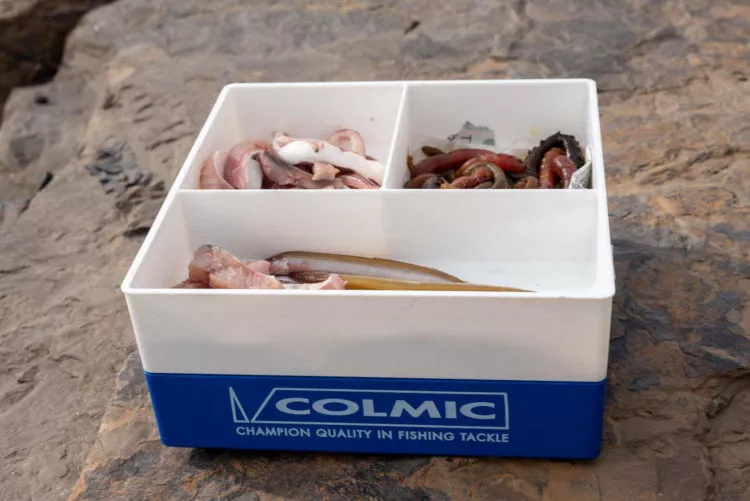 Eristetty elävän syötin säilytyslaatikko pilkkimiseen